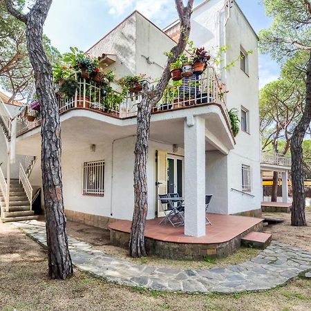 Hauzify I Apartament Edelweiss ปลาตจาดาโร ภายนอก รูปภาพ